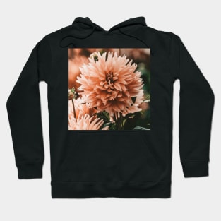 Dahlia Blossoms #nature #painting Hoodie